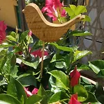 Vakantiehuis Palma Spello