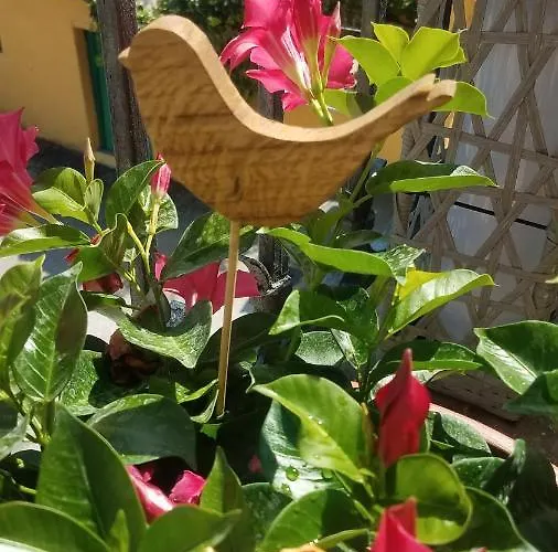 Holiday home Palma Spello